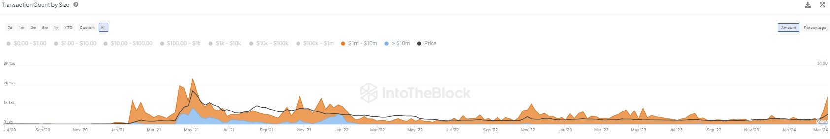 Dogecoin Activity