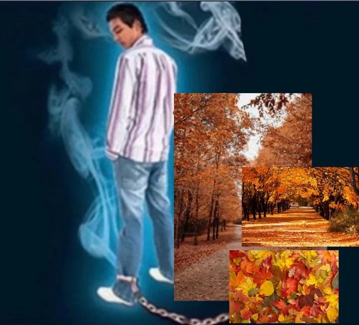 empezó la mejor estación de todas man i love otoño