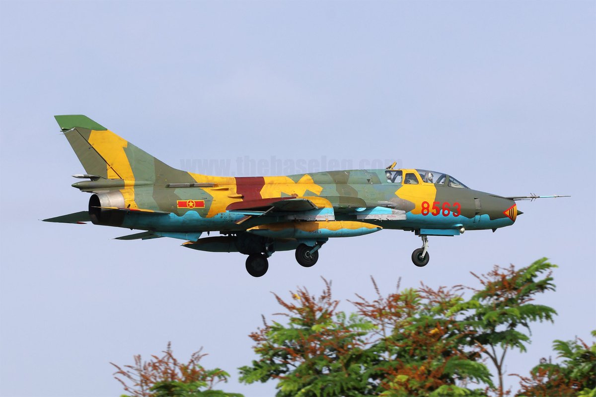 Mike Yeo 杨启铭 tweet media