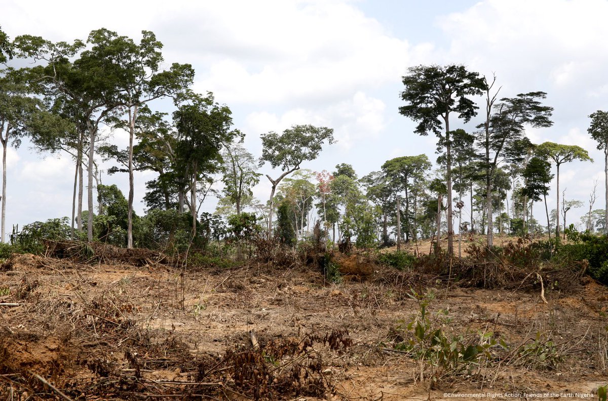 GhadaFathiWaly's tweet image. My home continent Africa loses a staggering 3.9 million hectares of forest a year - the world's highest rate.

Illegal logging is a major contributor &amp;amp; generates billions in illicit revenue.

To protect our forests, we must root out corruption. #ForestDay

unodc.org/documents/corr…