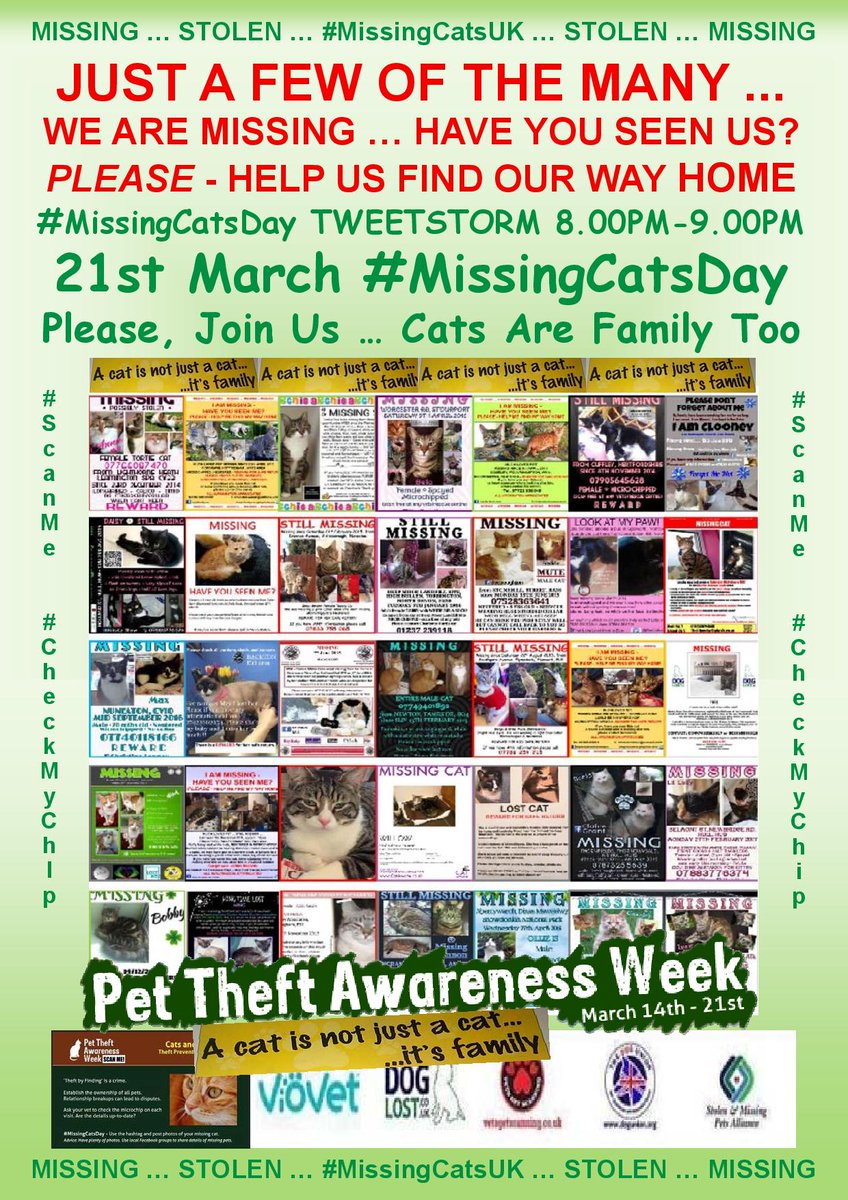 CatsMissing's tweet photo. Today is #MissingCatsDay
Have you got a missing feline family member⁉️
Share their photo today with hashtag #MissingCatsDay
🙏Share everywhere & raise awareness & demonstrate the sheer scale of our missing and stolen
#CatsAreFamilyToo
#ScanMe #CheckThatChip
#MissingNeverHeals https://t.co/Bohx2TkUb7