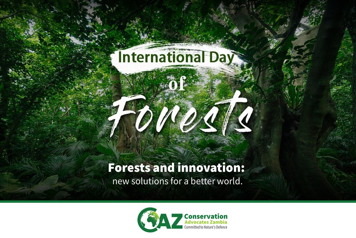 Conservation Advocates Zambia tweet media