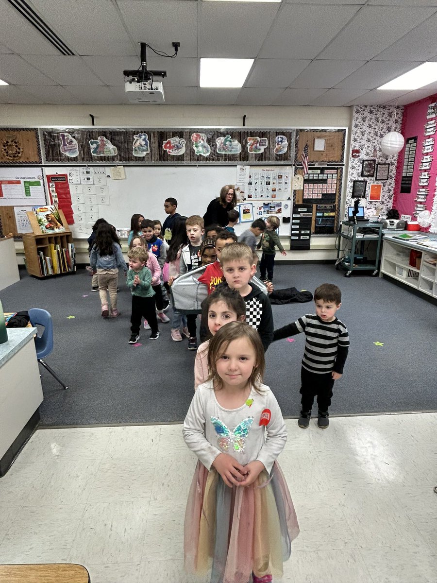 BASD Clearview🐾 tweet media