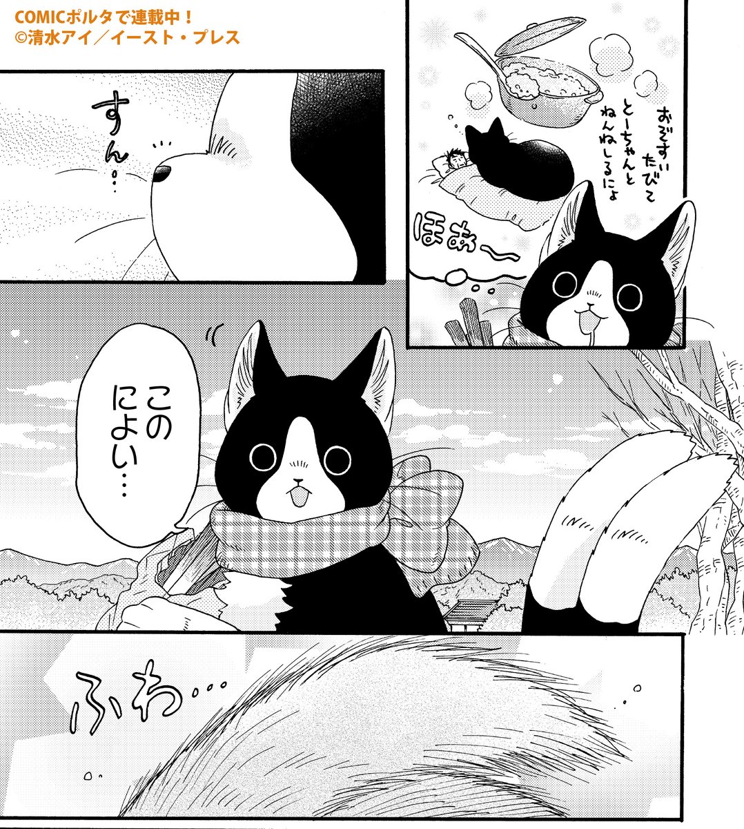 🐱かわいい”猫又”はいかがですか？🐱／ 『ねこまたとあさごはん』 著