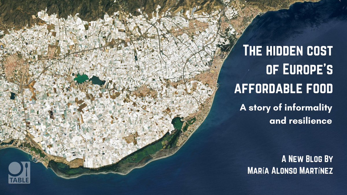 What is the hidden cost of Europe's affordable fruit & veg? @malonsomtnz's new blog explores a growing system that keeps many workers in a state of instability and inequality. Read here: tabledebates.org/blog/hidden-co…