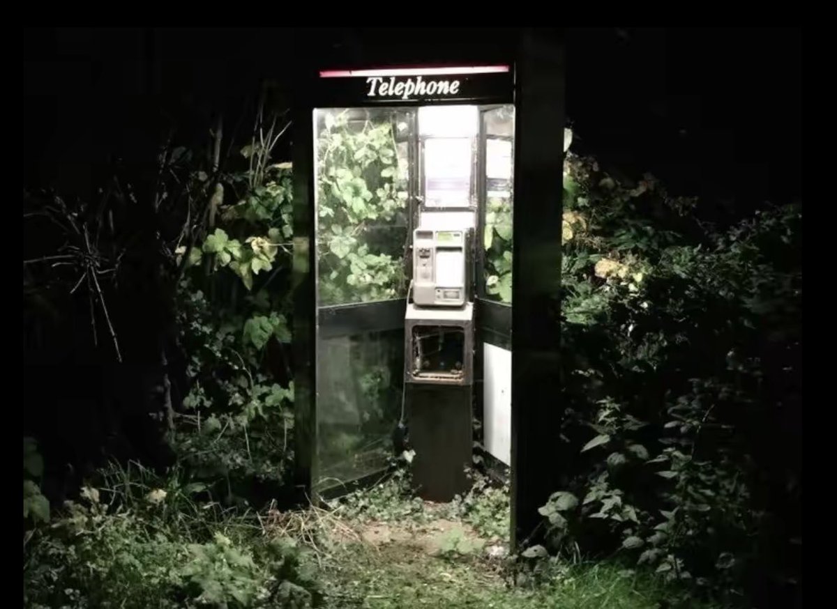 Without Prejudice tweet media