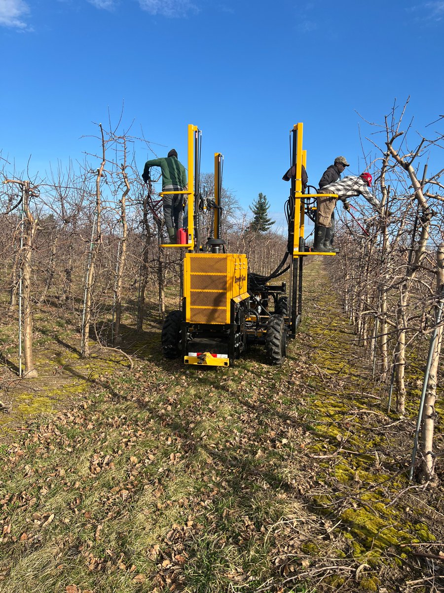 FruitNiagara's tweet photo. Spring is right around the corner and our trimmers are hard at work getting the trees ready while they are still dormant.  Pruning involves specific cuts to our trees to help determine canopy size and bud counts for our high density trees.  #niagarafreshfruit #lakesideorchards https://t.co/5uLPoofxah