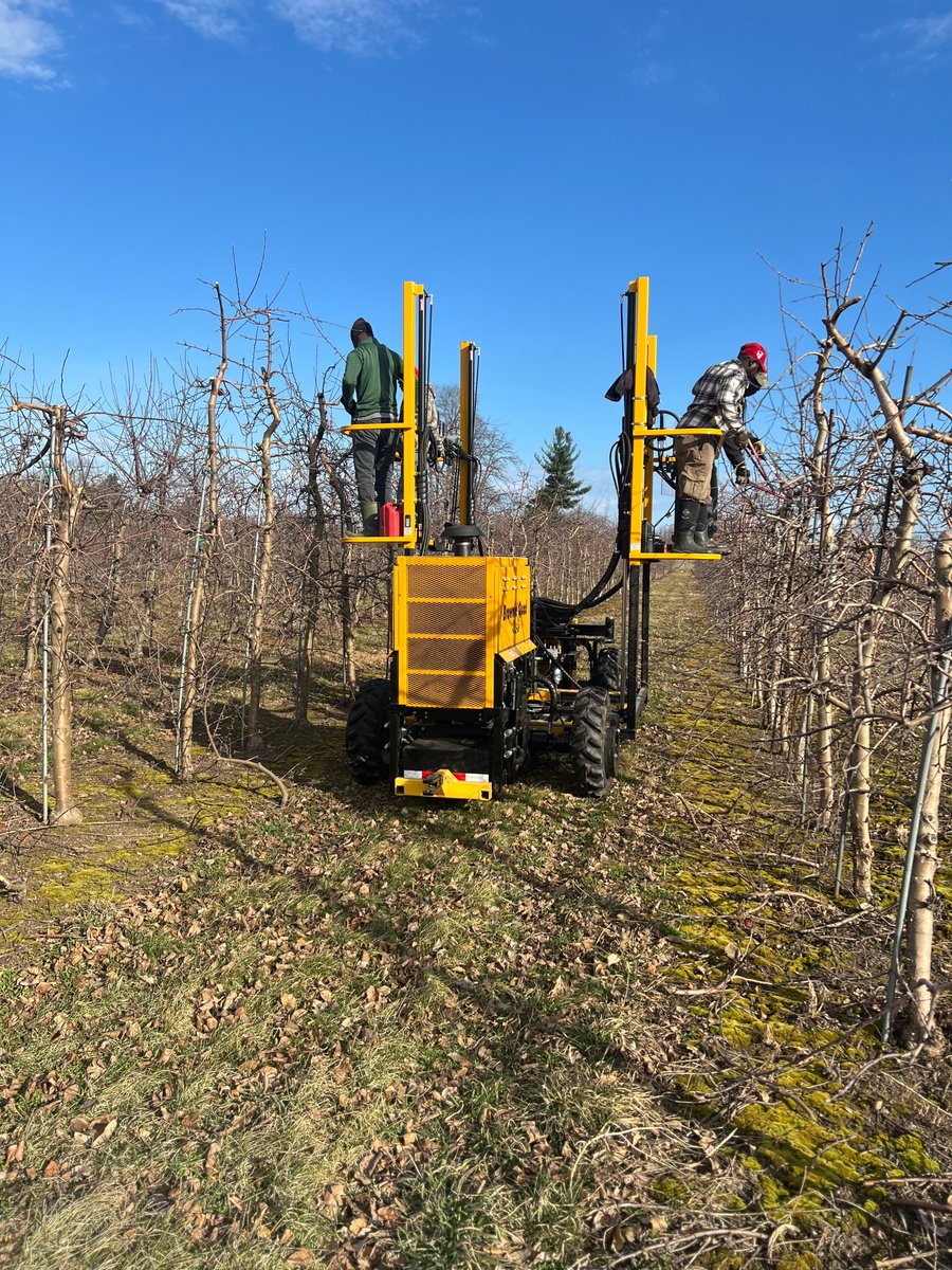 FruitNiagara's tweet photo. Spring is right around the corner and our trimmers are hard at work getting the trees ready while they are still dormant.  Pruning involves specific cuts to our trees to help determine canopy size and bud counts for our high density trees.  #niagarafreshfruit #lakesideorchards https://t.co/5uLPoofxah