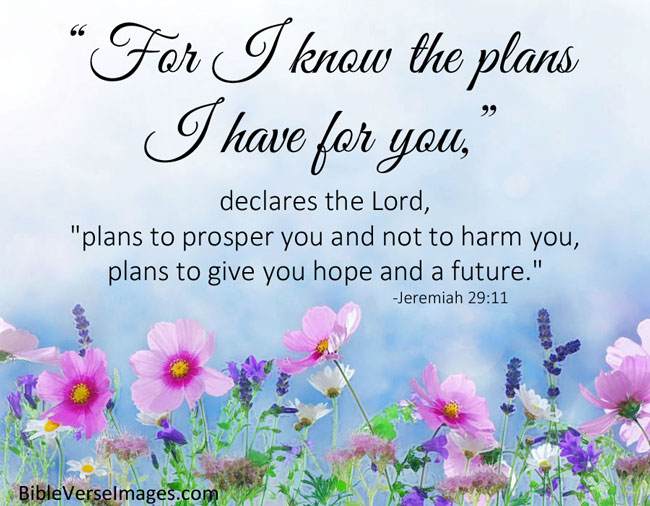 trinity220722's tweet photo. God gives favour &amp; prospers believers, I'm most proud of the blessings that God has bestowed upon me in my life ✨✨✨ xxxxx https://t.co/zeeI4expwO