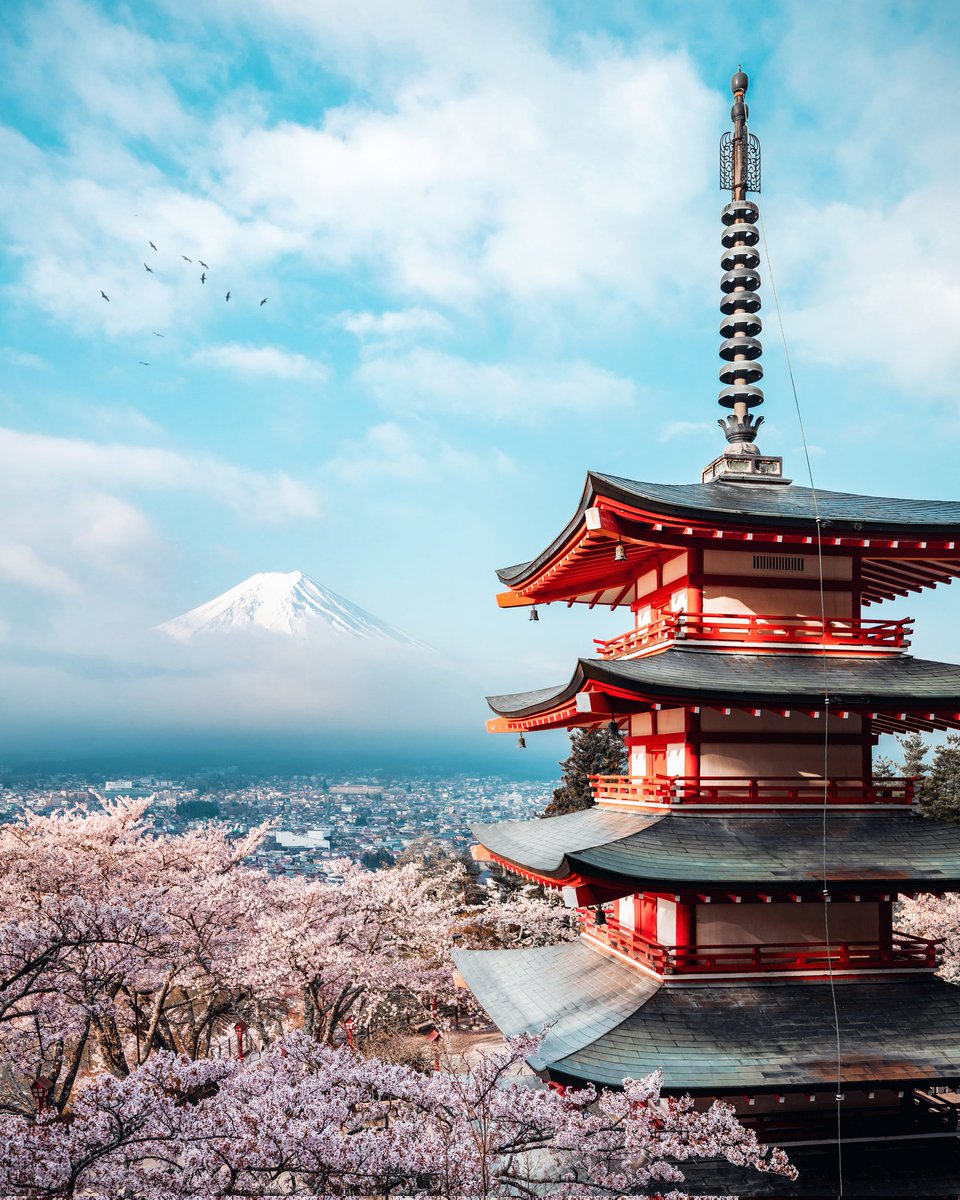 Sakura Season 🌸

#SAKURA #Japan #CherryBlossoms #photography #Travel