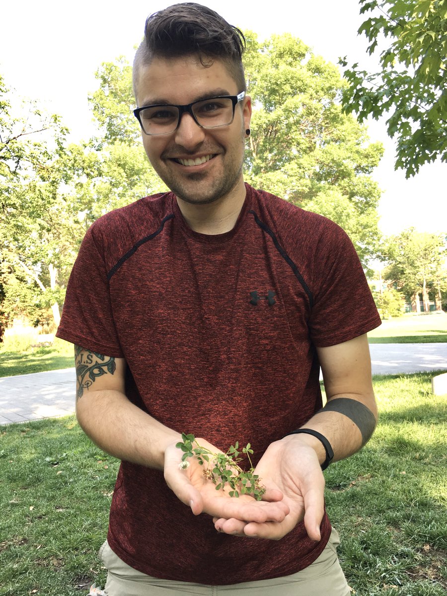 evoecolab's tweet photo. Congratulations to @eebtoronto PhD student @dmurraystoker whose latest paper "Mosaic of local adaptation between white clover and rhizobia along an urbanization gradient" just came out in @JEcology https://t.co/wkSIisArHY https://t.co/HgbBdm2iDE