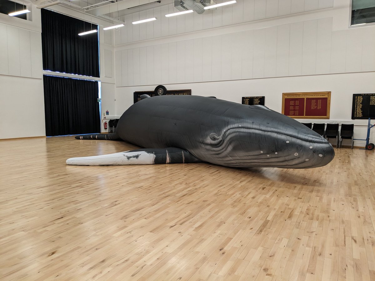 Dive into an immersive experience at @HeriotWattUni as 'Hope', a life-sized humpback whale, makes a splash at @Oriamscotland. #HopeWhale #Conservation #ScienceEducation More here: tinyurl.com/dn4w889j