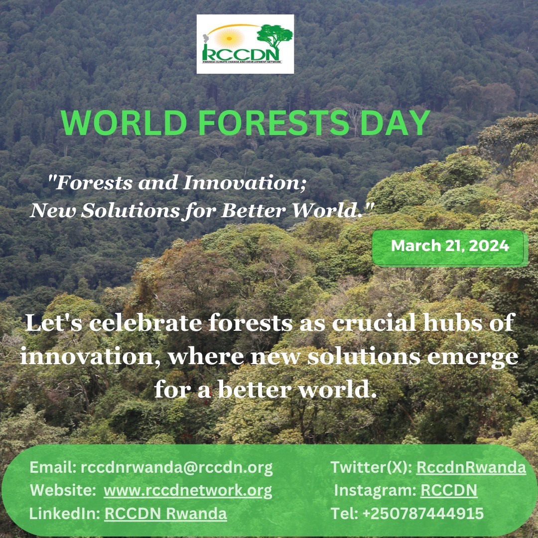 Happy #WorldForestDay! Embracing innovation in forests paves way for brighter, greener future. @RccdnRwanda urges everyone to innovate for a sustainable tomorrow. #ForestInnovation #BetterWorld @trocaire @PACJA1 @Afsafrica @giz_rwanda @REMA_Rwanda @RwandaForestry @EnvironmentRw