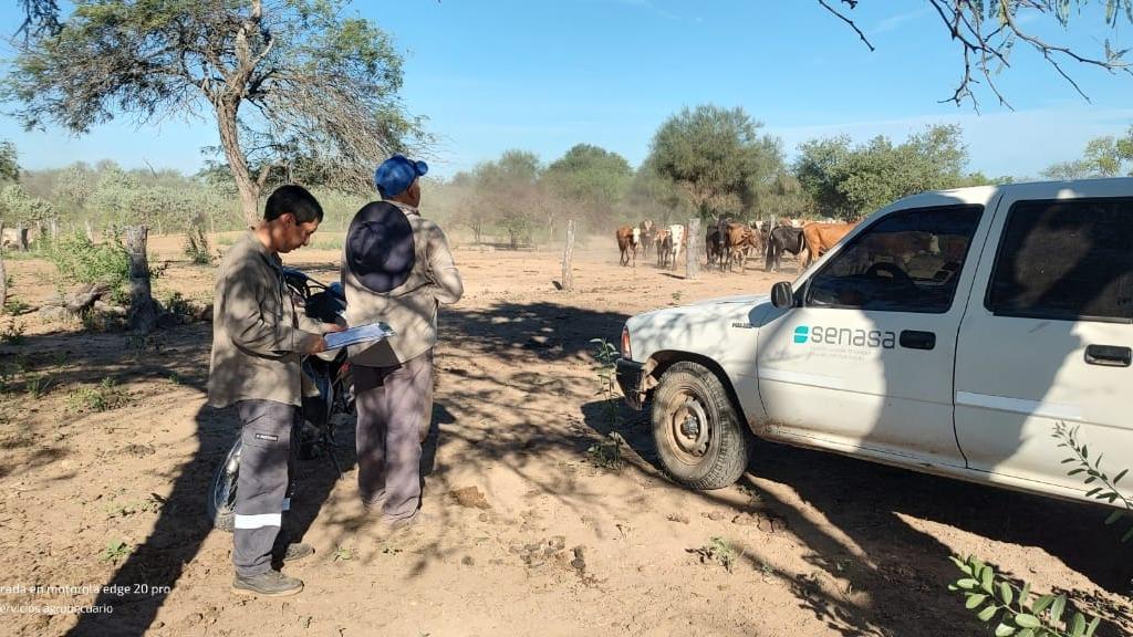 galvani_dr's tweet photo. Trabajamos junto al Ministerio de la Producción y Ambiente de @GobiernoFormosa para asegurar el traslado del ganado afectado a tierras más altas y garantizar su bienestar animal https://t.co/jxHFrpN3YH