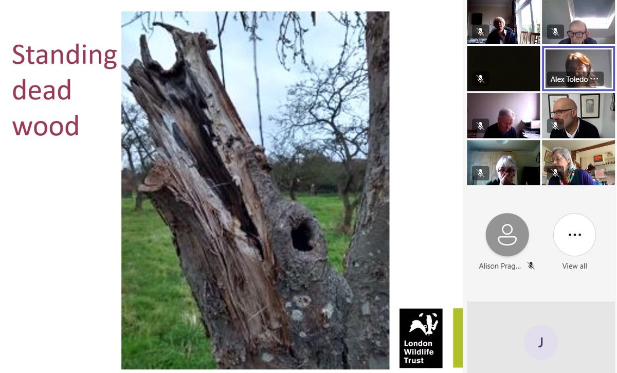 Learning about the @WildLondon Woodland Assessment Tool for London - a toolkit for Friends groups to assess woodland and come up with an action plan to improve it #dkhwood #urbanecology
