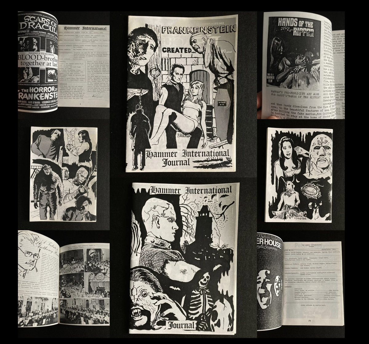 Two rare issues of The Hammer International Journal fanzine from the early 1980’s, dedicated to all things Hammer Horror. 🩸 

alldatalostbooks.co.uk/shop-1/ols/sea…

#alldatalostbooks #horrorbookstagram  #horrorcommunity #horrorcollector #dracula #frankenstein #hammerhorror  #vampires