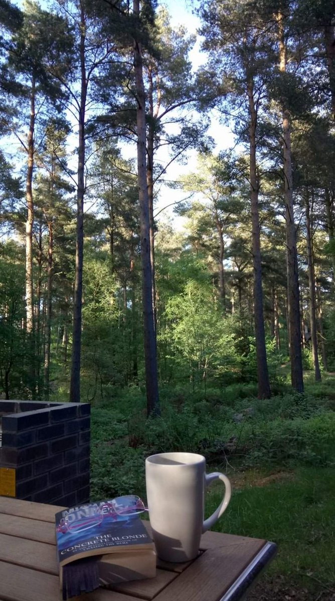 Wadopam's tweet photo. @CenterParcsUK Beautiful Whinfell Forest 😊 #tranquility https://t.co/9XgEtqBn4t