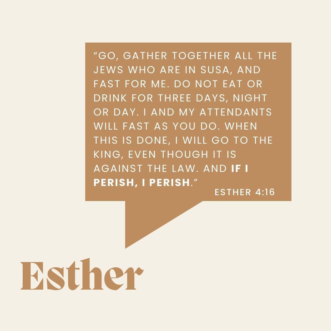 CurriculumTrak's tweet photo. Check this out! CT staff share some of the women in the bible they admire. Becki and Angie both mentioned Esther, a woman who became Queen and vowed to protect and save the Jewish people‼️ 

Which women of the bible do you admire? Share some of your favorite stories with us! https://t.co/1Fg5zjg8dO