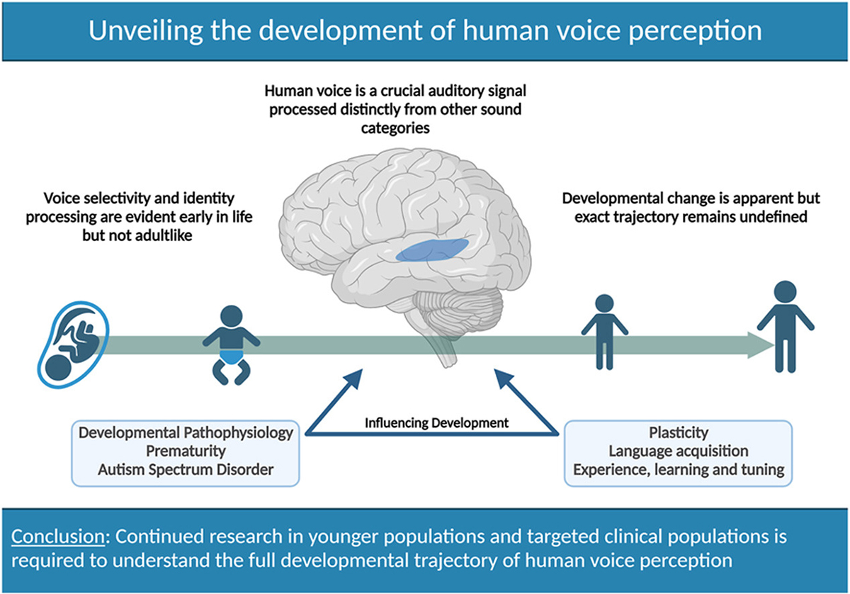Review provides comprehensive account of developmental voice processing research published to date and discusses how this evidence fits with and contributes to current theoretical models proposed in the adult literature. sciencedirect.com/science/articl… @TaylorAbelMD @ChildrensPgh