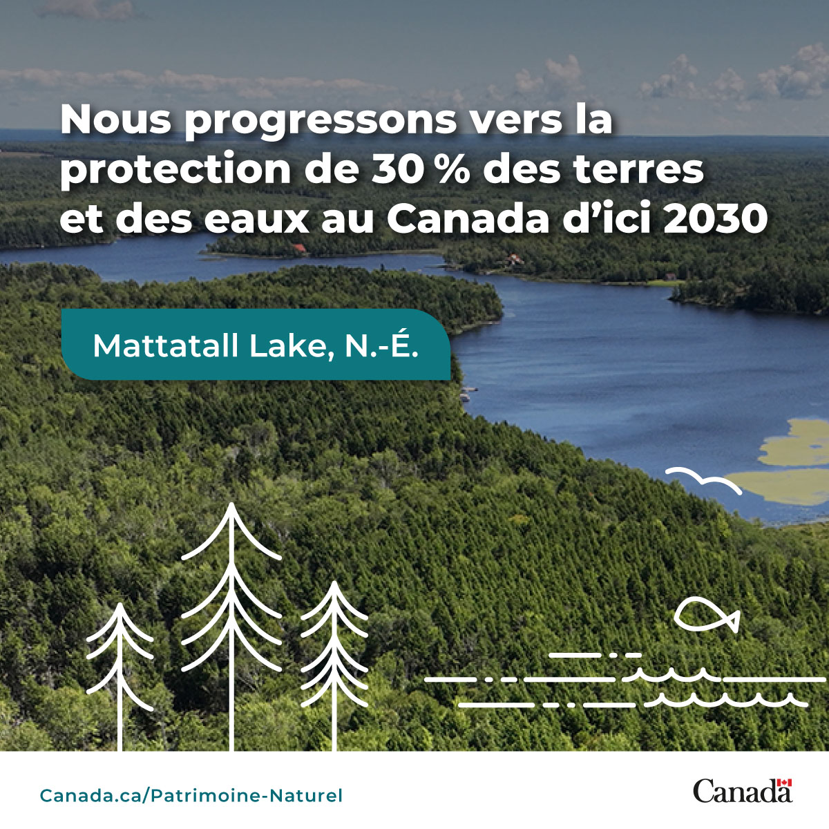 1/2 Grâce au travail de @NCC_CNC, les forêts anciennes, les rives des lacs et les zones humides de la #NouvelleÉcosse seront conservées pour aider à protéger les oiseaux migrateurs, y compris les #EspècesEnPéril comme le Pioui de l’Est.

Photo : Mike Dembeck