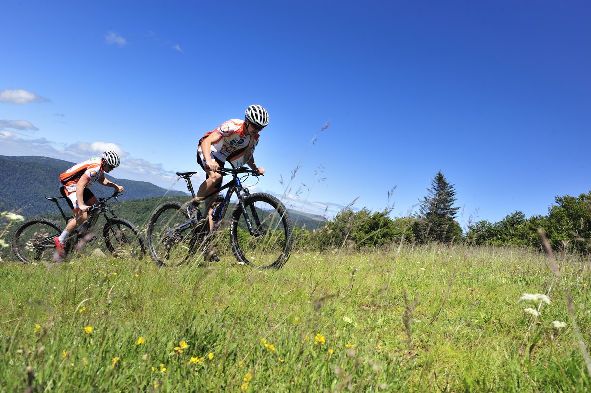 Aujourd'hui, c'est le printemps 🌷🐞 Et le soleil est là pour fêter ça ☀️
Profitez du beau temps en parcourant les circuits VTT au départ des bases VTT des Monts de Gy, des 1000 Étangs ou du Pays de Vesoul-Val de Saône.
🚵 calameo.com/read/001694039…
📷 Pierre Pauquay