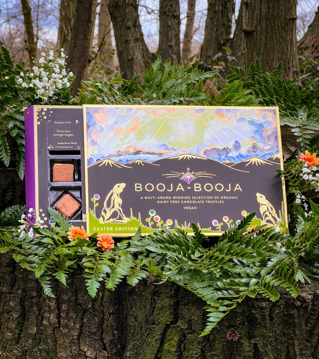 Our stunning seasonal #Easter Edition Award-Winning Selection contains an array of #awardwinning #chocolate truffles from sweet, creamy Hazelnut Crunch to deliciously tangy Rhubarb & Vanilla Fool. Save £2 on this sensational Easter gift at @Ocado today #BoojaBooja #Organic #Vegan