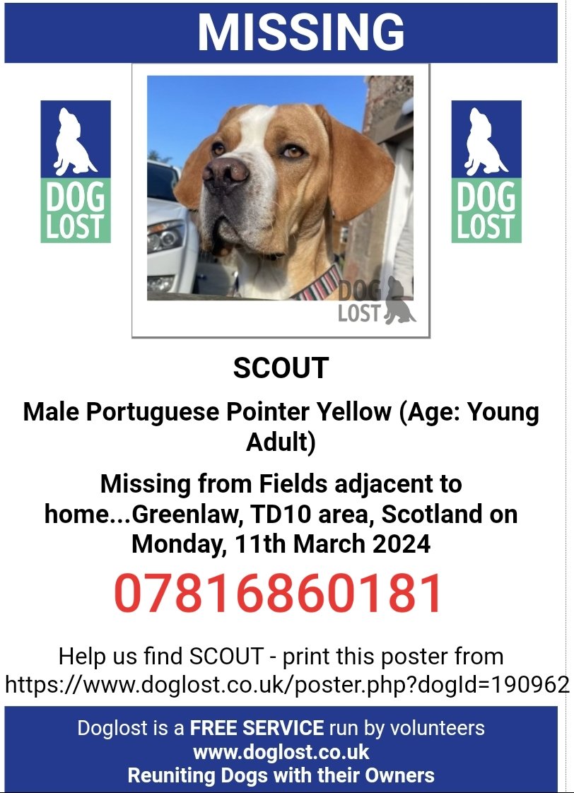 MissingPetsGB tweet picture