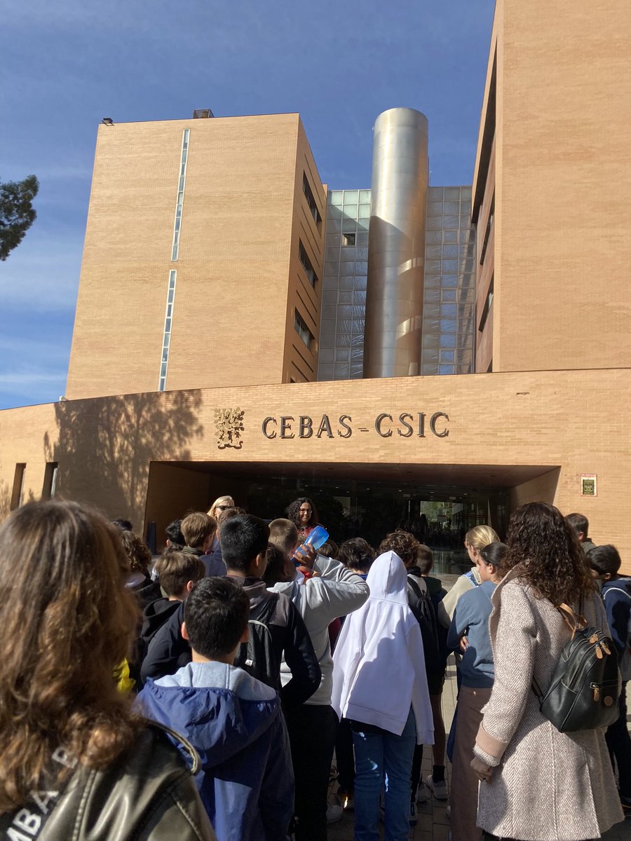 CEIP María Maroto tweet media
