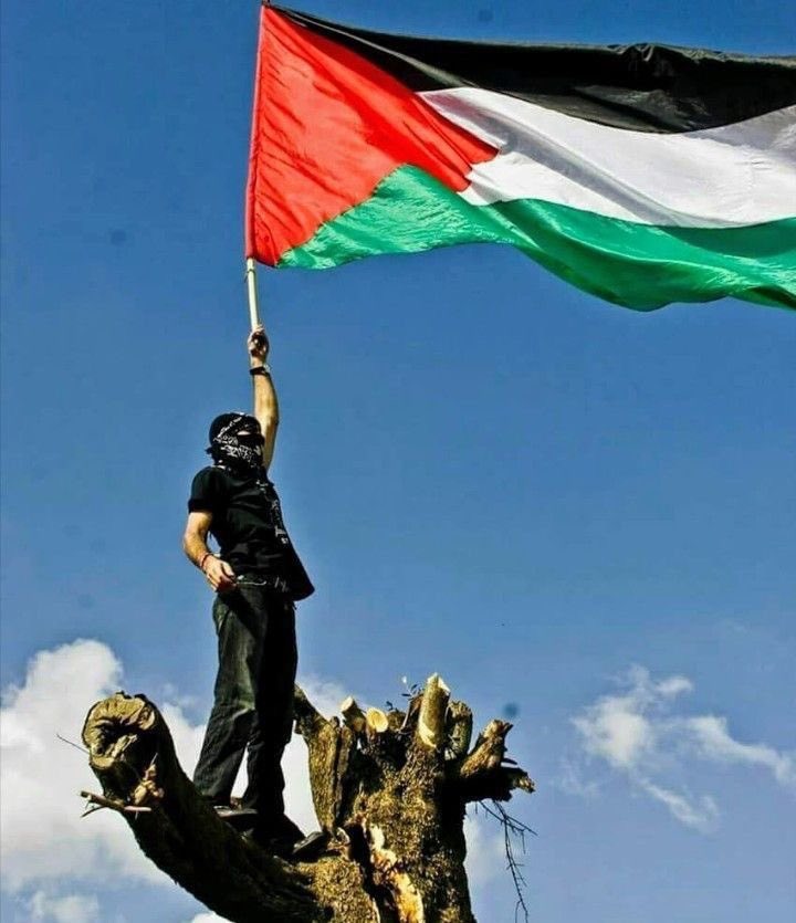 REVMAXXING's tweet image. Palestine WILL win! 🇵🇸