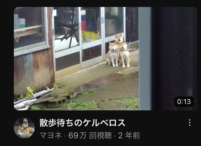 今日の見てよかった動画