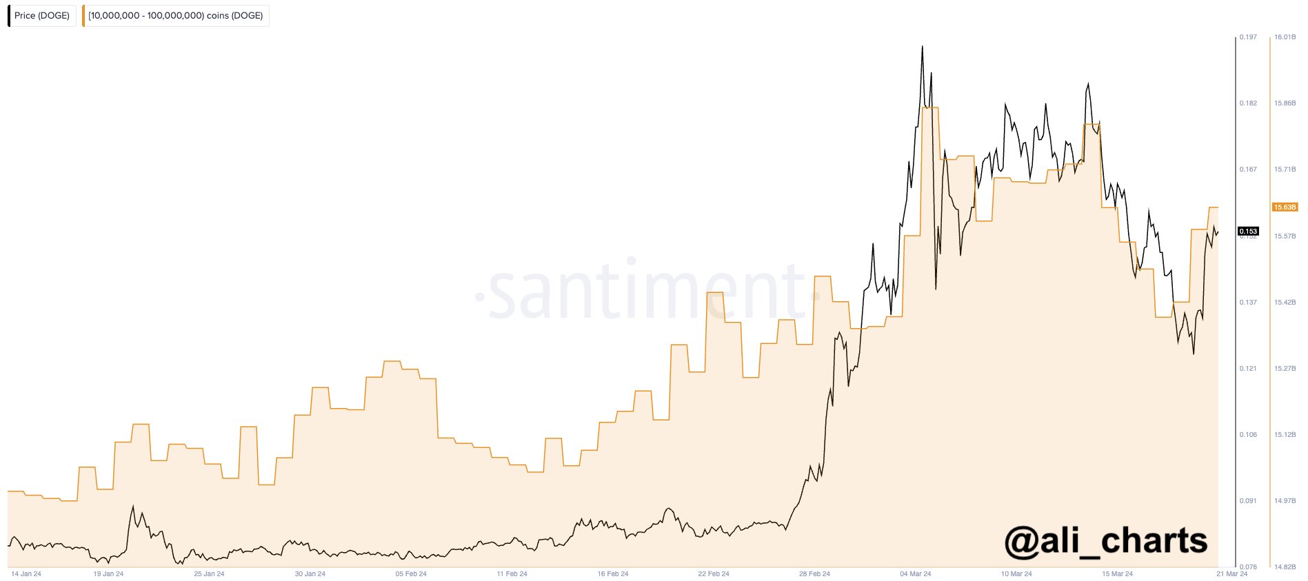 Dogecoin Price Whale Activity