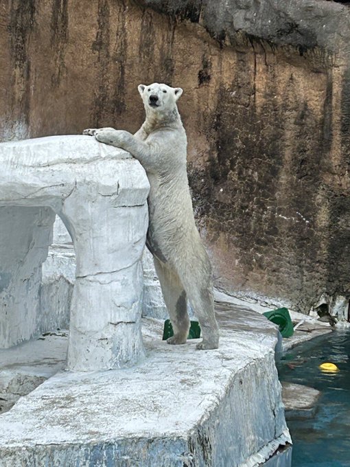 Twitterのコスプレ画像25