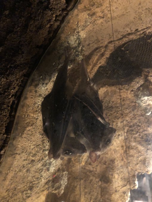 Twitterのコスプレ画像24