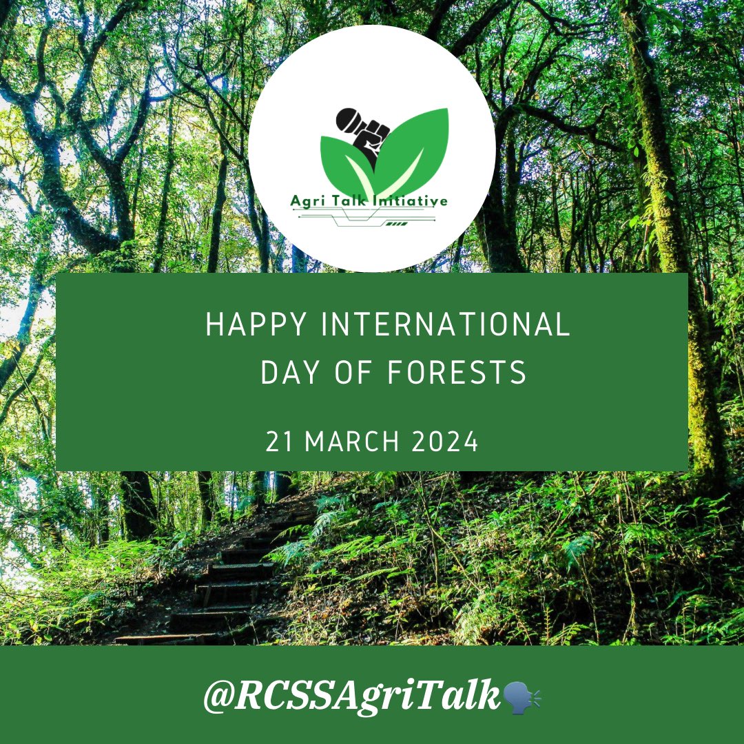 Happy International Day of Forests 🌳 

Biodiversity pay an honour to the pivotal role forests  provide to ecosystem management and sustainability of agriculture and life of people and animals!

#ConservationAction 
#HWFD2024