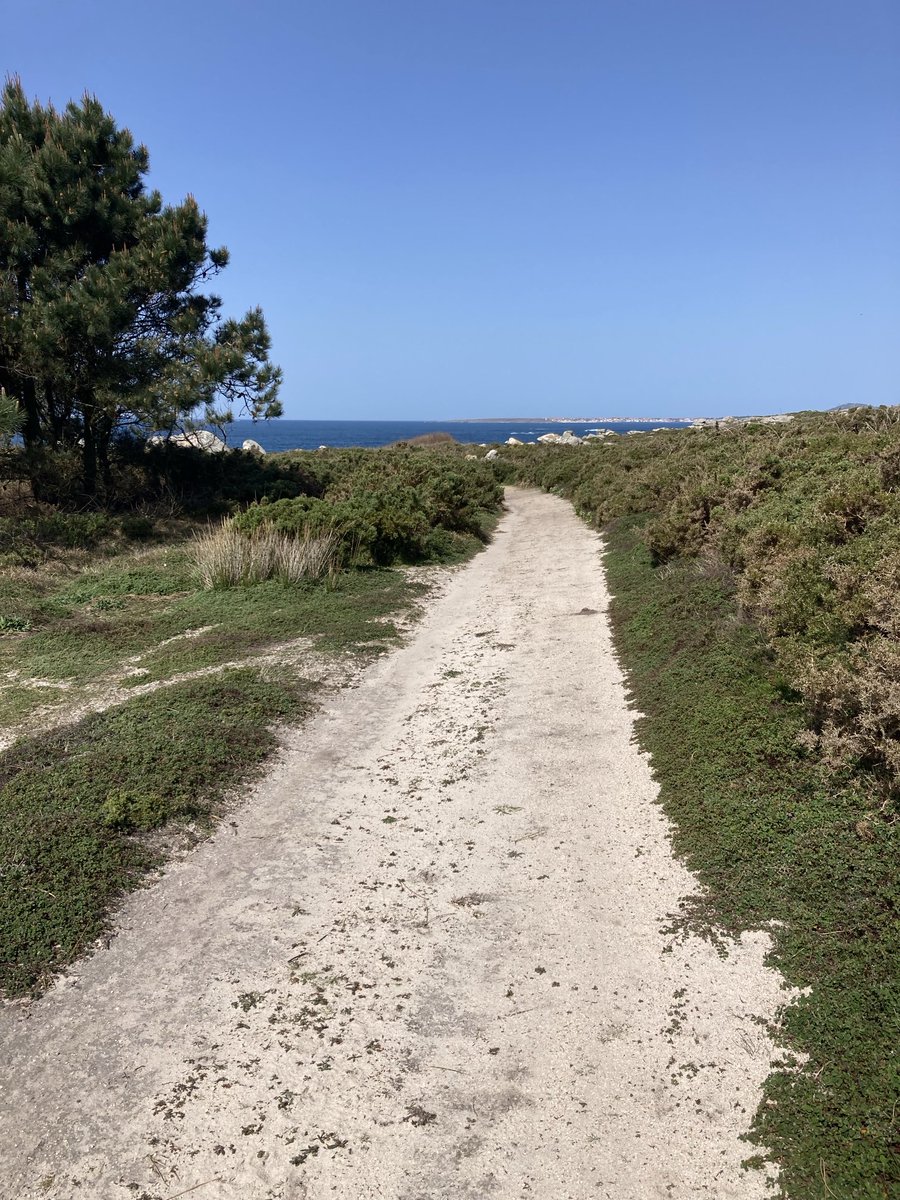 AriasMayan's tweet photo. Mañana cardiosaludable.
#Aguiño #Ribeira #Ría de Arousa. https://t.co/aULfFwZDqP