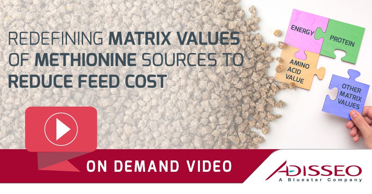 Our #webinar 'Redefining matrix values of methionine sources to reduce feed cost' is finally available 😉
Jaap van Milgen @INRAE_Intl & Yves Mercier #Adisseo, experts in #AminoAcid metabolism & nutrition in #monogastrics invite you to watch the replay 📺 bit.ly/3VrItUD