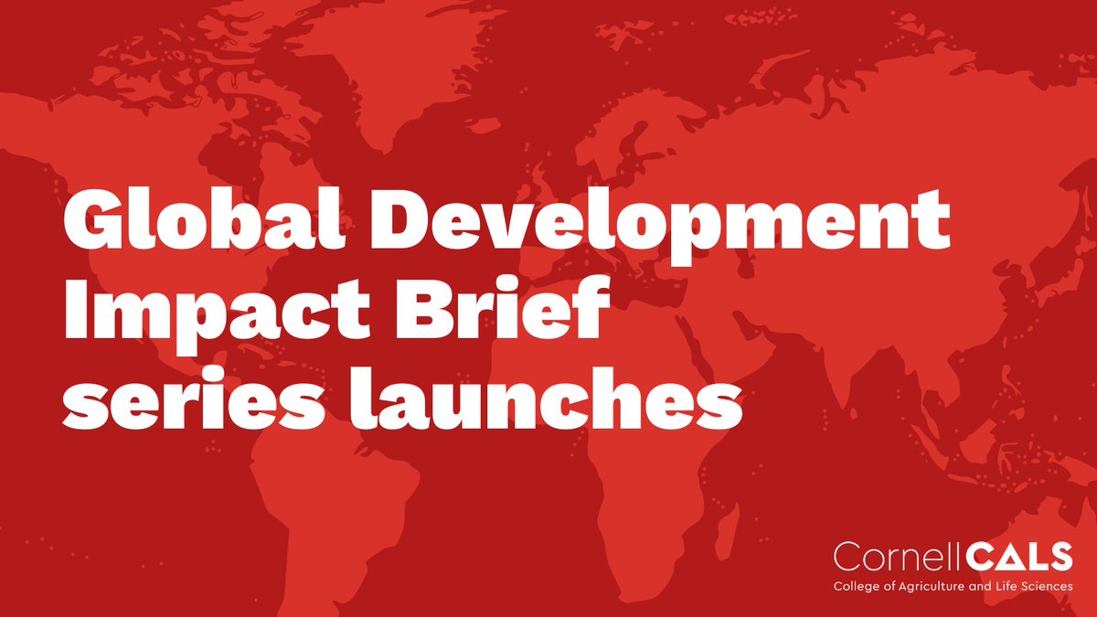 We are thrilled to share our new quarterly Impact Brief series in Global Development🚀 In these quarterly pieces, our faculty are sharing how we we work to create a more equitable, sustainable, and food-secure world for all. 🔖Read the first two briefs: cals.cornell.edu/global-develop…