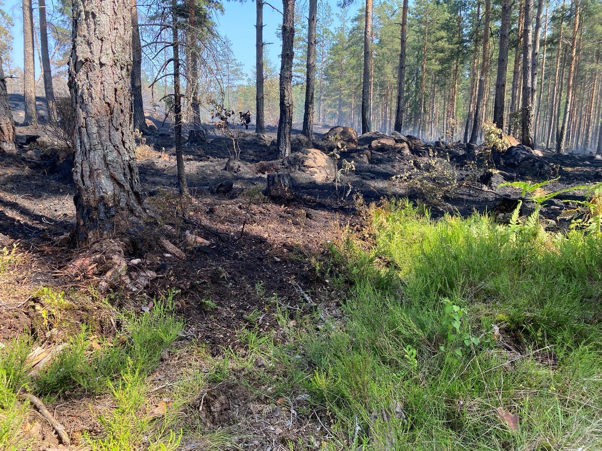 CliCNord's tweet photo. “Filling the void: Rural disaster volunteerism during the Swedish wildfires of 2018” - is the title of a CliCNord paper just published in the International Journal of Disaster Risk Reduction. Read it here: https://t.co/Ubk1hdM0bY (Open Access)
#risesweden #nordforsk #cope_ku https://t.co/7ae9kM1Uzc