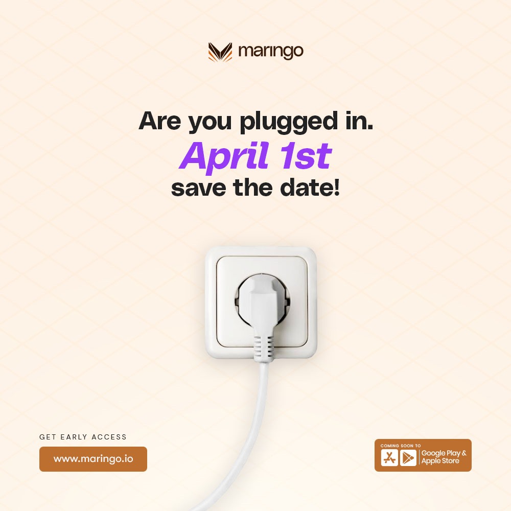 Maringo App (Beta) tweet media