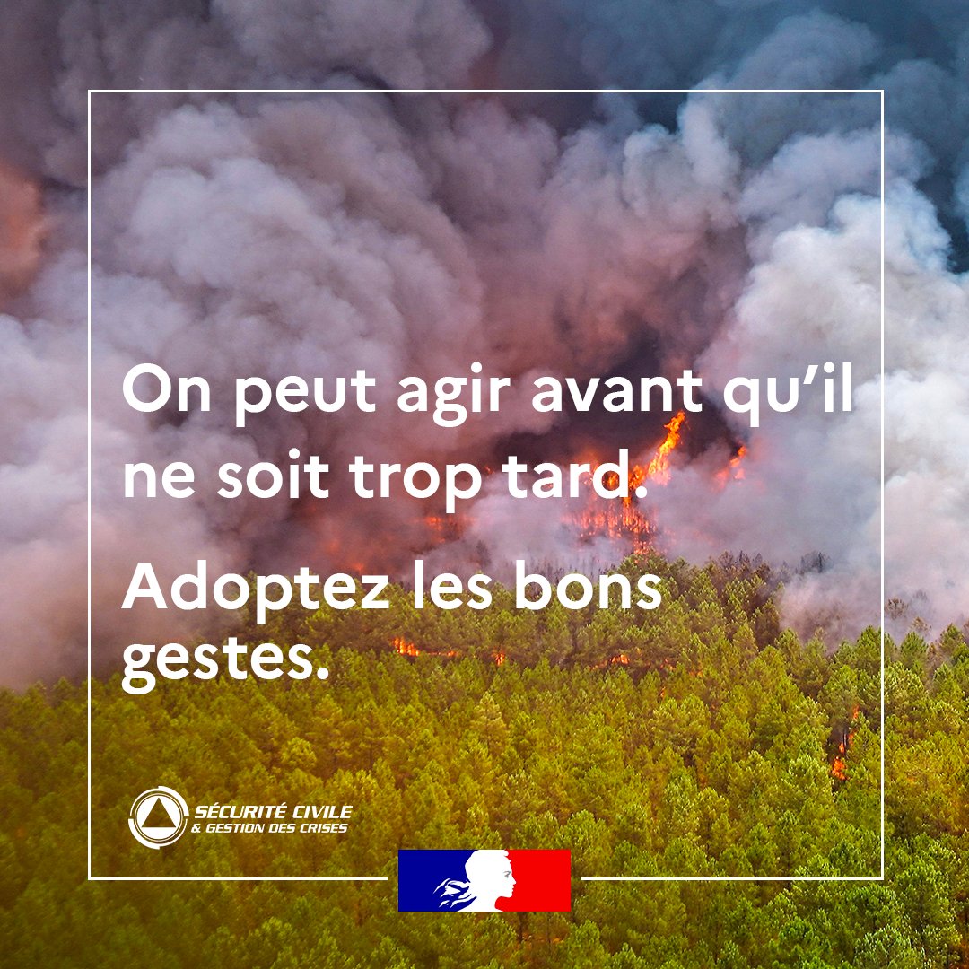#JournéeInternationaleDesForêts 🌳🌲 Parce que le 1er maillon de la chaîne de secours c'est vous : adopter les bons gestes, c'est limiter le risque de départ de feu.
👉 Ne jetez jamais vos mégots par la fenêtre de votre véhicule
👉 Respectez les interdictions d'accès aux massifs