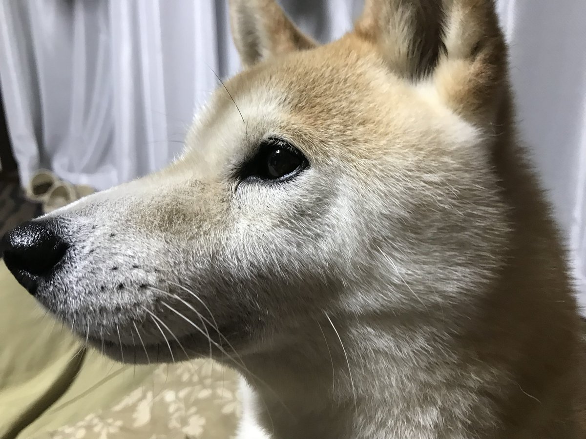 M&amp;Aの売却先であるホールディングスが破産した。
中には創業100年とか、スポーツ運営などエンタから文化的な企業を傘下に収めた直後だった。
ミイラ取りがミイラになったのかも知れない、典型的なモデルだった。