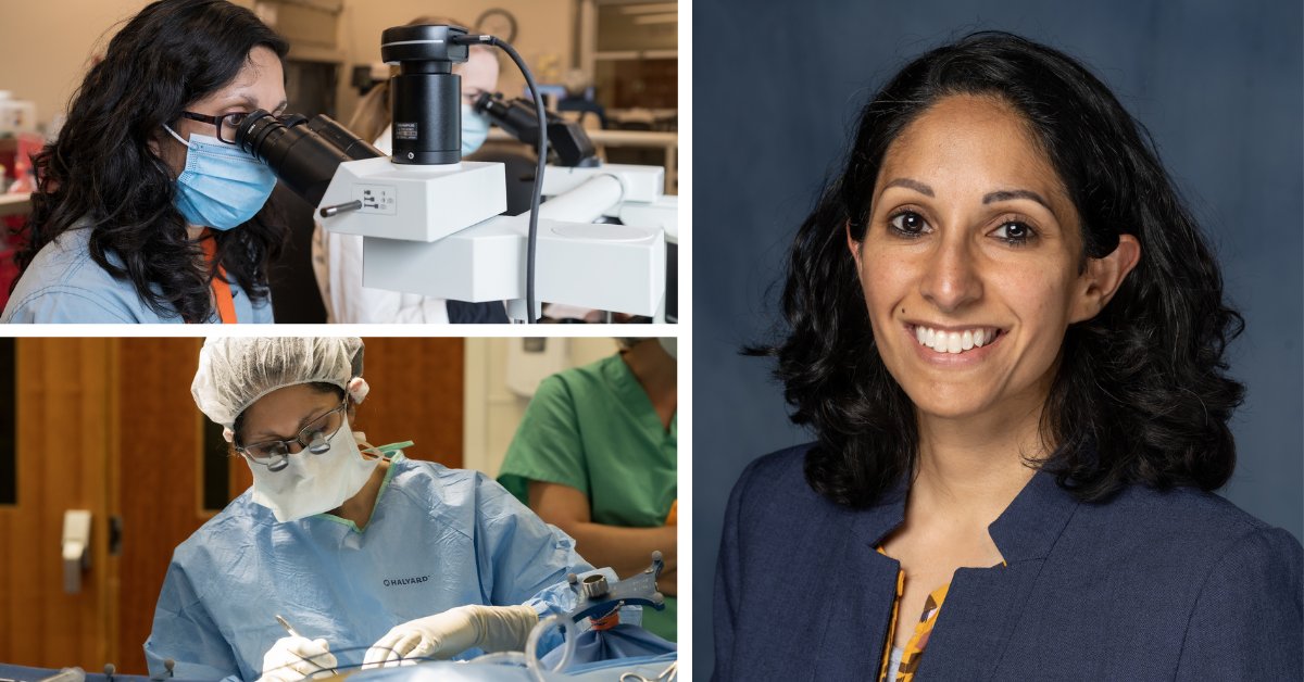 Learn about MBI researcher &amp; <a href="/UFHealth/">UF Health</a> neurosurgeon Dr. Maryam Rahman's impact in the OR &amp; the lab. Rahman is the 1st female neurosurgeon faculty member <a href="/UF/">FLORIDA</a> in Gainesville &amp; is working to develop better brain cancer treatments.

Read the <a href="/UFMedicine/">UF Medicine</a> story: bit.ly/3TpF2LS