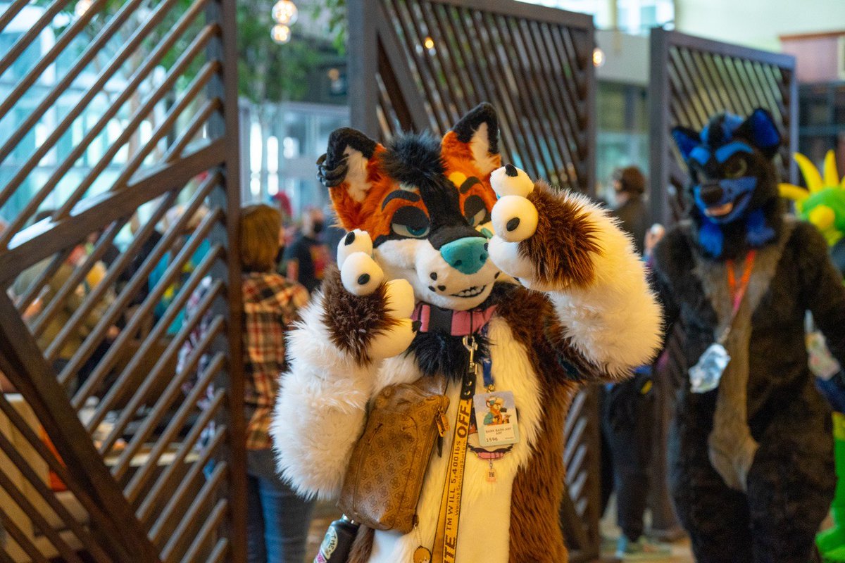 You have pictures of me from FE? ANE? MFF? Any cons, meets or others? Send them my way or upload them to @furtrack !! Use the character tag 'dam' so I can easily fine them! 💖Tysm 💖 📸: @KooperShiba