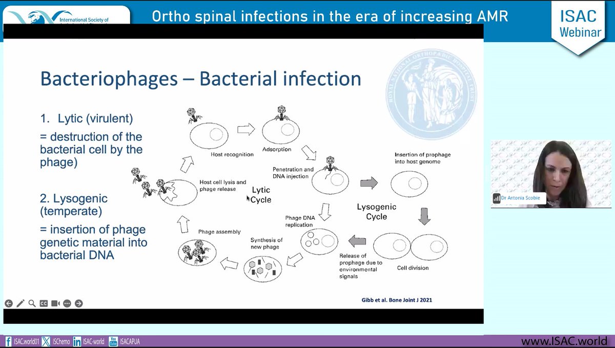 🌟LIVE | Ortho spinal infections in the era of increasing AMR🌟 You can still register for this webinar which is now underway with our first speaker, Dr Antonia Scobie who is presenting on Phage therapy in bone and joint infections us02web.zoom.us/webinar/regist… #phages #IDXposts