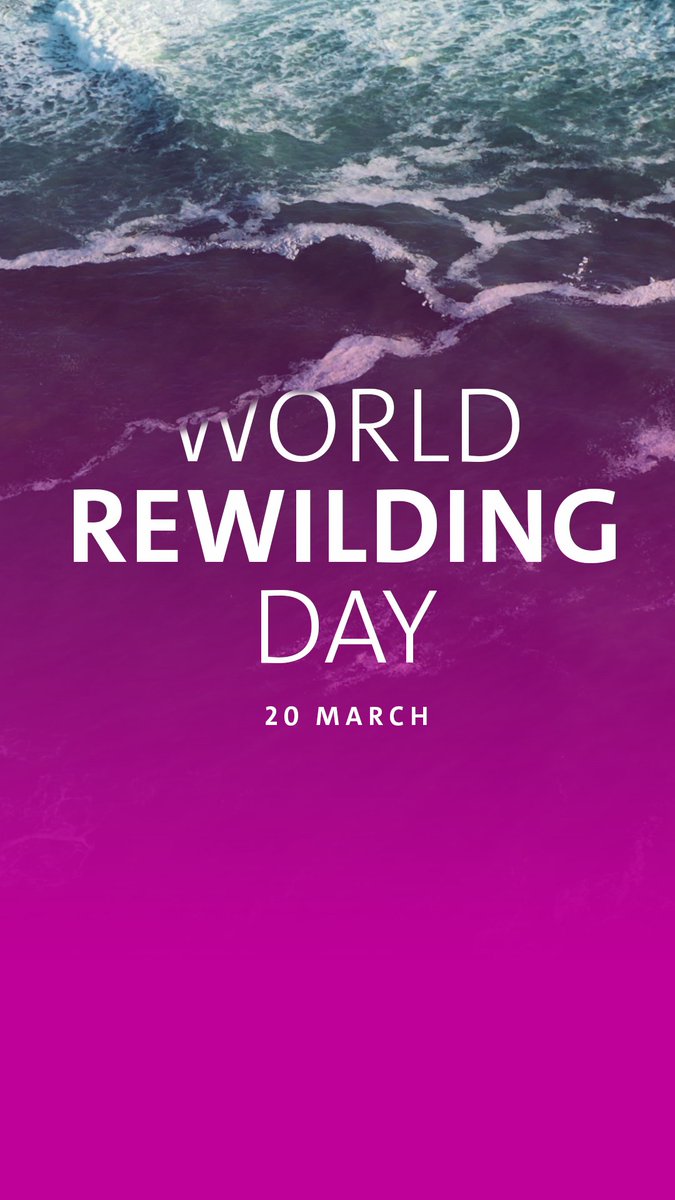 Rewilding Oder Delta tweet media