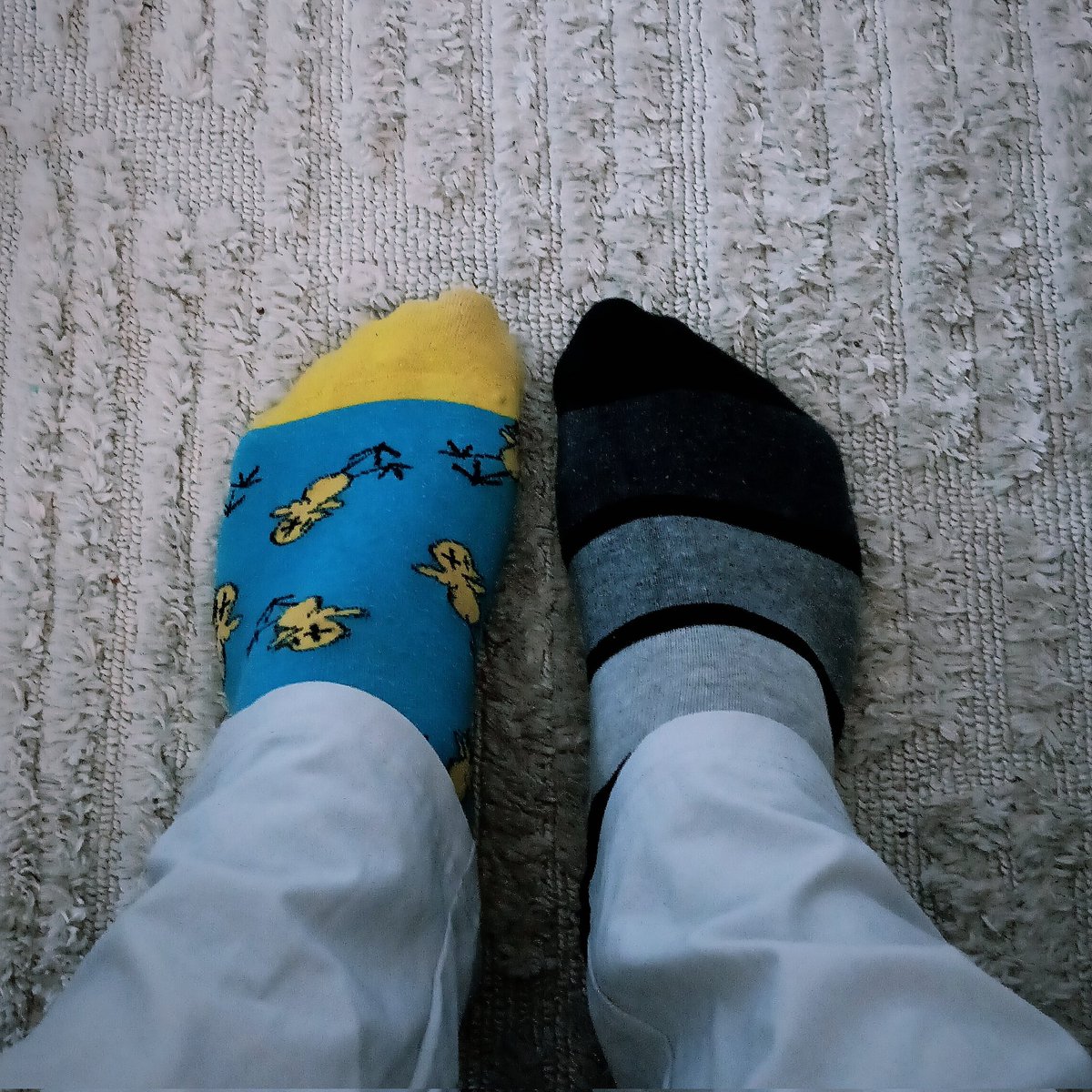 I obviously rocking the socks today!
