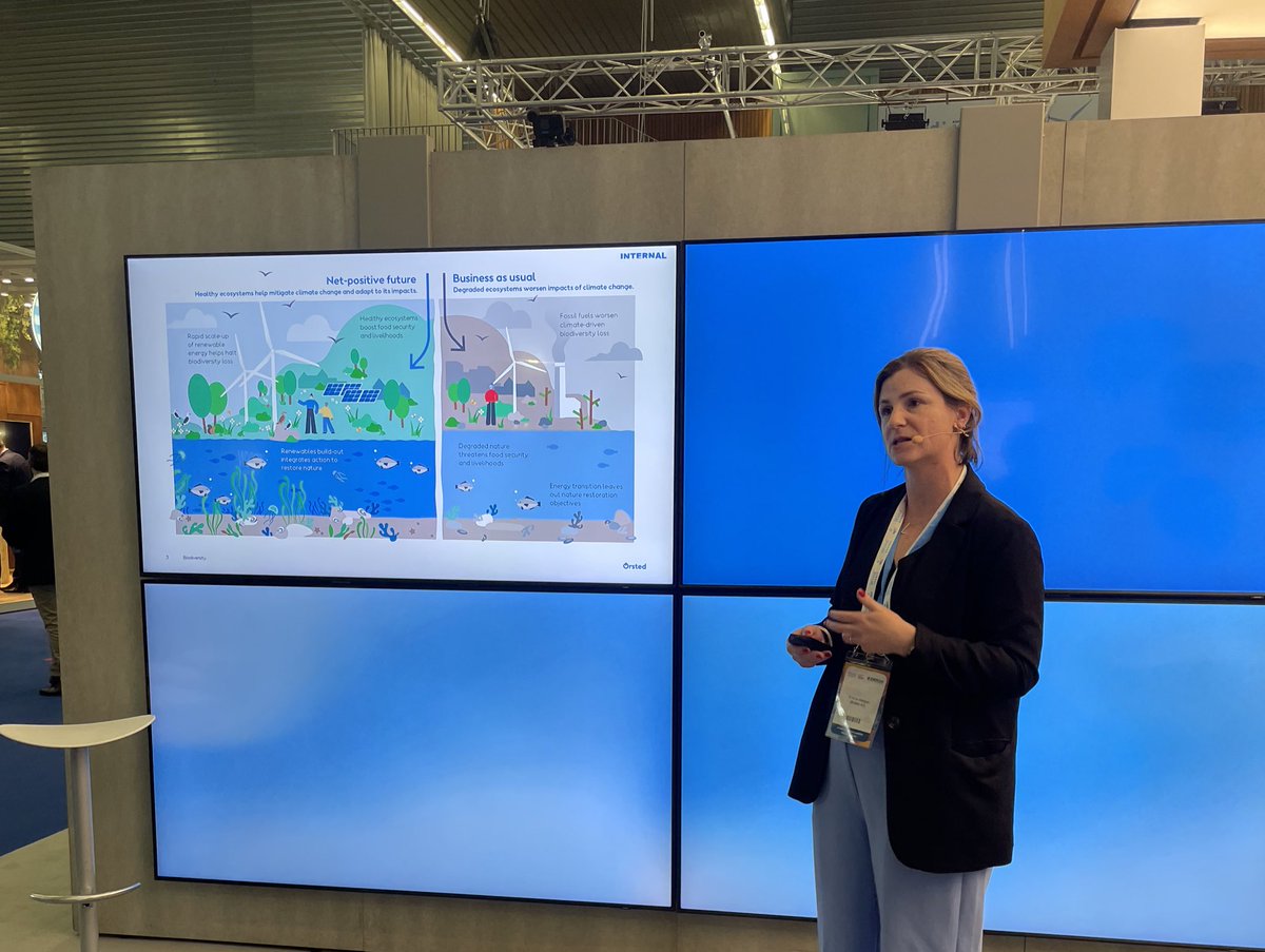 The energy transition must take place in harmony with nature🌿 Emma Hospes from @Orsted talks about how innovation and ecosystem approaches are important in addressing biodiversity impacts as part of our ambition of becoming biodiversity-positive 💪🏻 #WindEurope2024