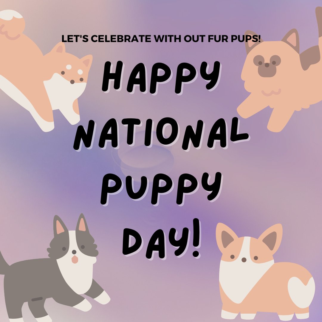 LurganLeashes's tweet photo. Happy National Puppy Day! There will be a 50% discount on all services for only today!!! https://t.co/swcujJIY32