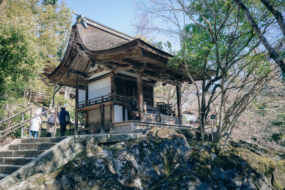 Every22theShop's tweet photo. 【フォト】
#石山寺 #多宝塔
#日本 #滋賀 #大津
#旅行 #散歩 #参拝
#寺 #真言宗
#紫式部 #源氏物語
#梅の花

撮影した日：2024年3月3日

#ongooglemaps #letsguide #googlelocalguides https://t.co/7WflLqelBE