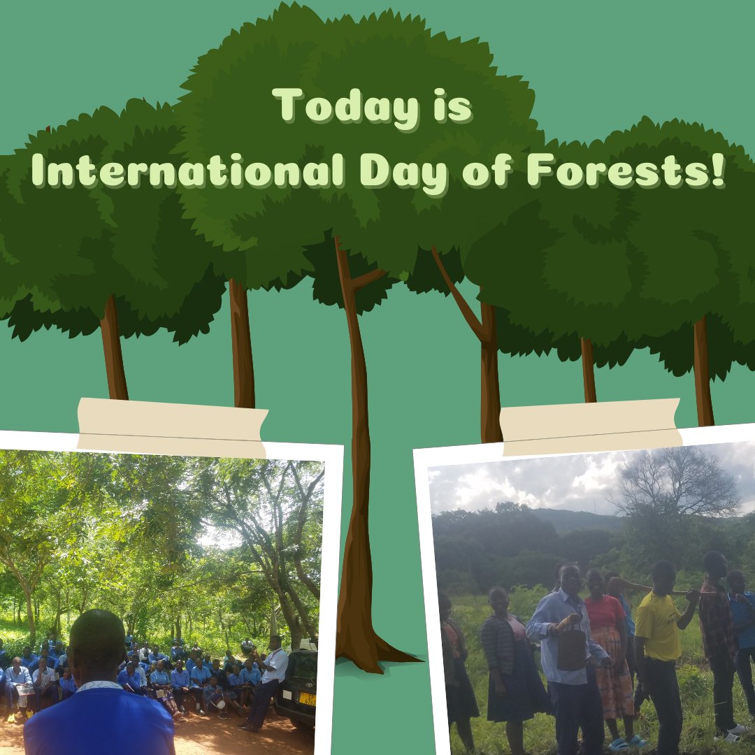 Reforestation builds resilience against #climatechange and natural disasters in Malawi🌳 On this #InternationalDayofForests we highlight Themba & his colleagues, who won Action of the Month in February for their #1MYAC #reforestation action! Read more: 1myac.com/en/action-of-t…